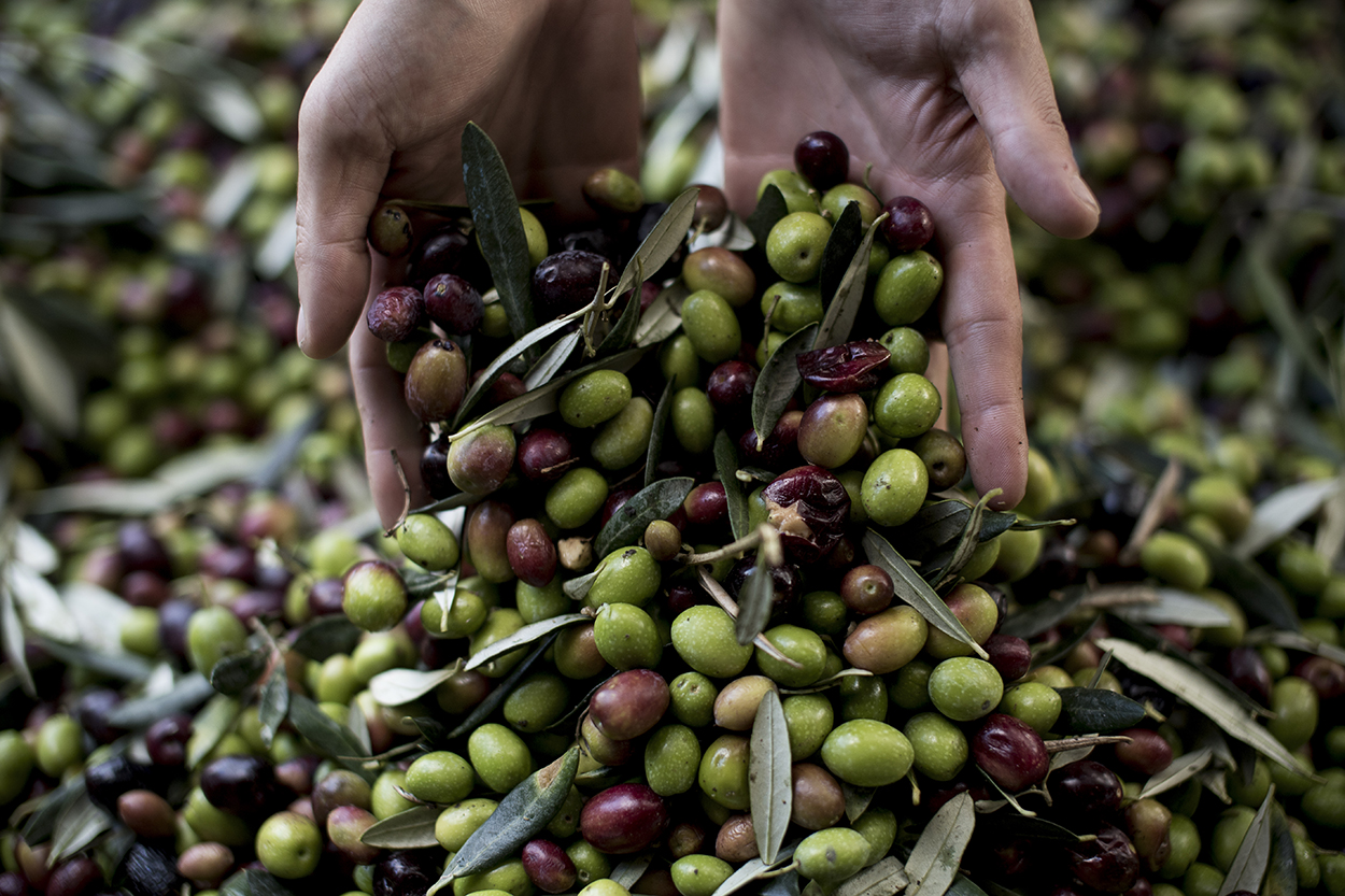 Handcrafted in Puglia