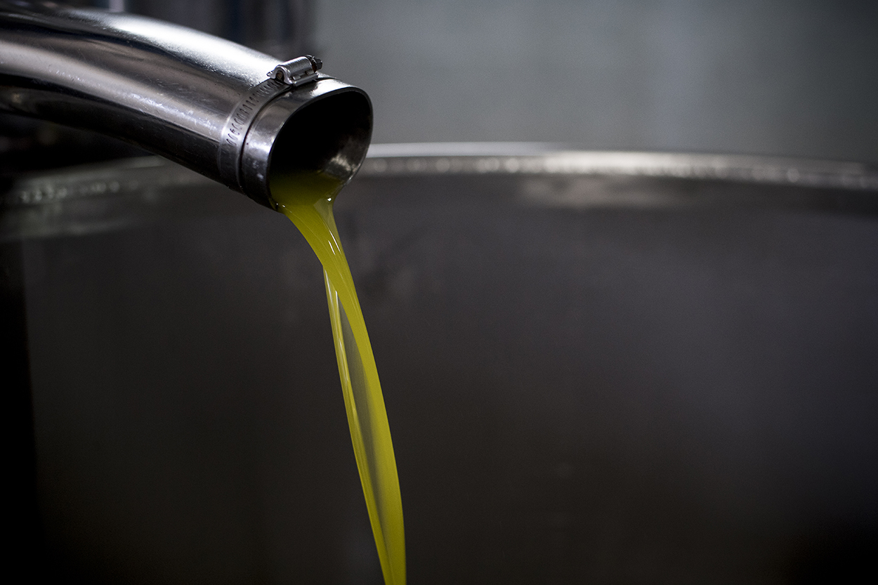 finished olive oil